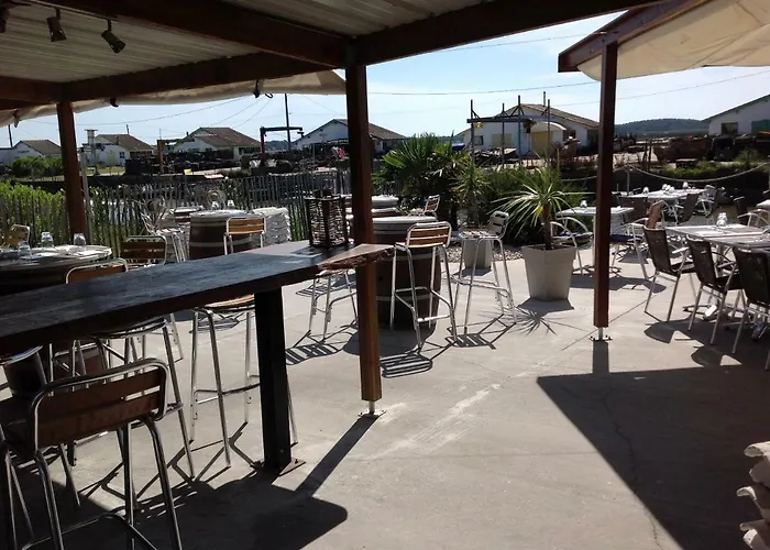 Appart Terrasse Vegetale Bord Plages Bassin