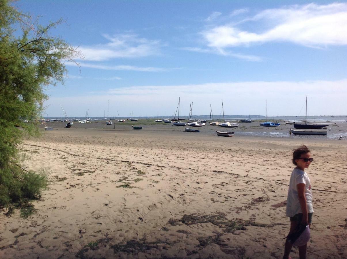 Terrasse Vegetale Bord Plages Bassin * Ares